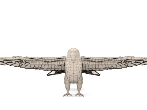 Blue Macaw Model 3D