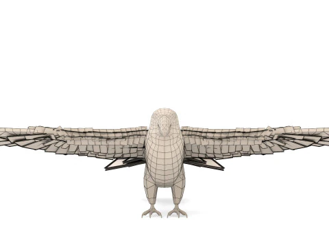 Blue Macaw 3D Model