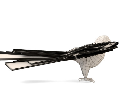 Blue Macaw Model 3D
