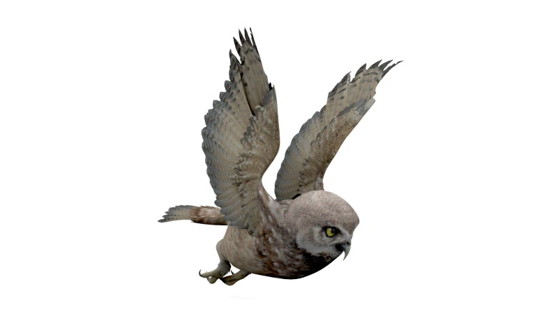 Brown Animated Owl 3D Model .c4d .max .obj .3ds .fbx .stl .blend 