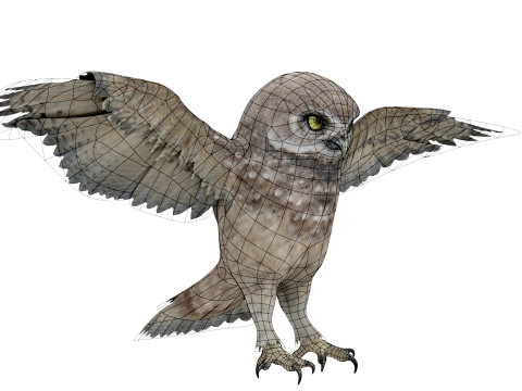 Brown Animated Owl Model 3D