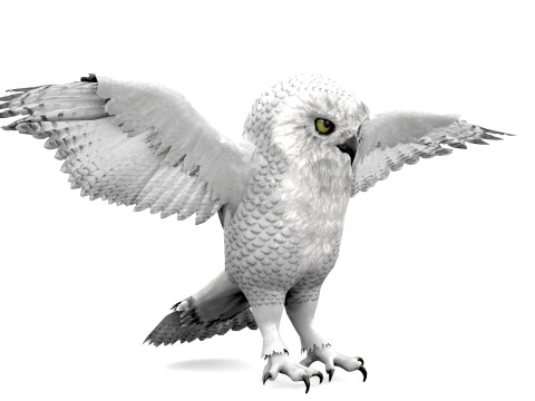 White Animated Owl 3D Модель