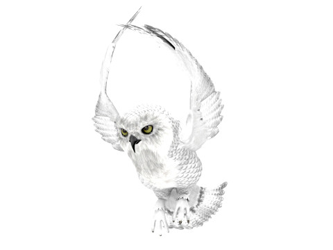 White Animated Owl 3Dモデル