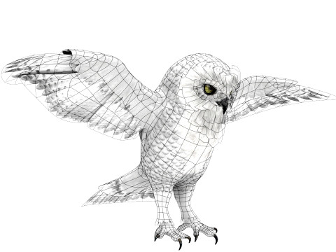 White Animated Owl 3Dモデル