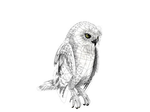 White Animated Owl 3Dモデル