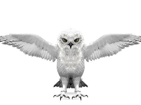 White Animated Owl 3Dモデル