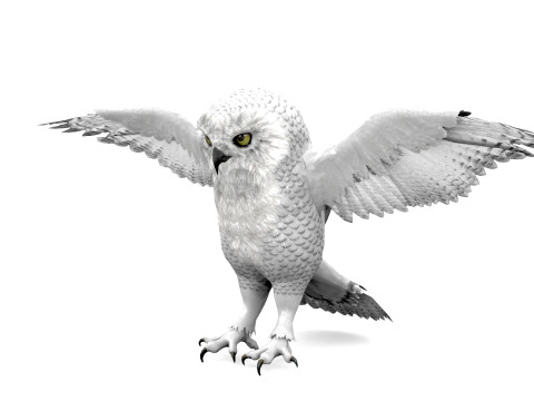 White Animated Owl 3Dモデル