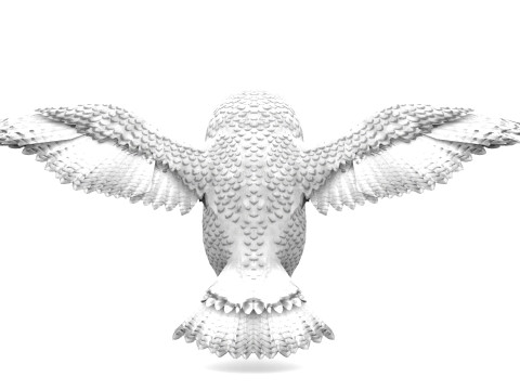 White Animated Owl 3Dモデル