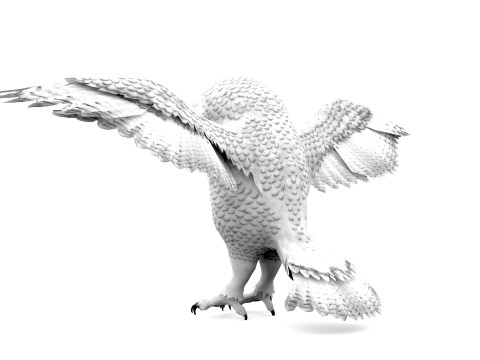 White Animated Owl 3Dモデル