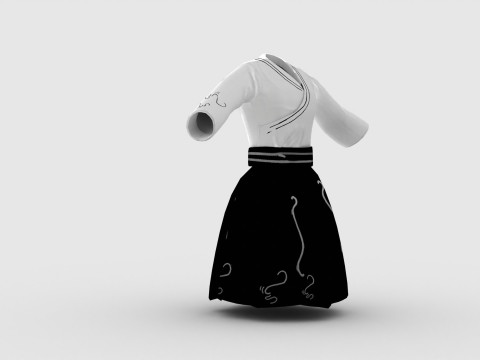 Chinese Cloth 3D Модель
