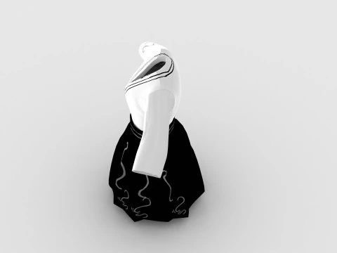 Chinese Cloth 3D Model