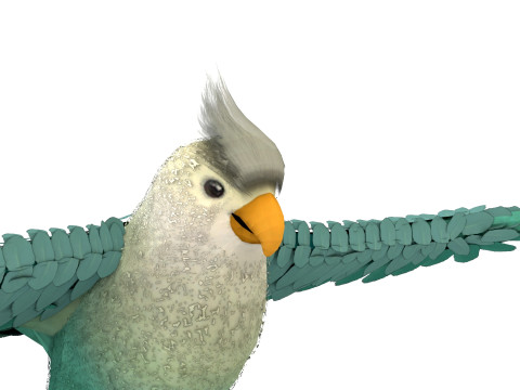 Cockatiel Parrot 3D 模型