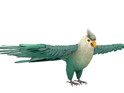 Cockatiel Parrot 3D Model