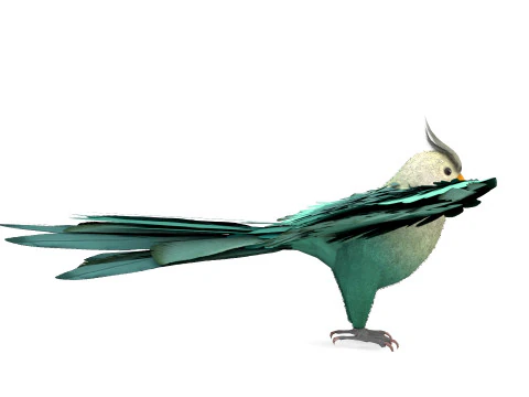 Cockatiel Parrot 3D Model