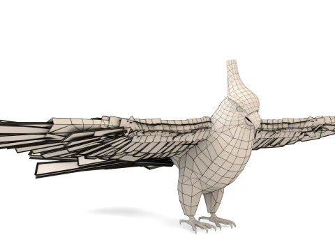 Cockatiel Parrot 3D Model