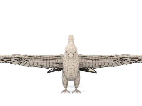 Cockatiel Parrot 3D Model