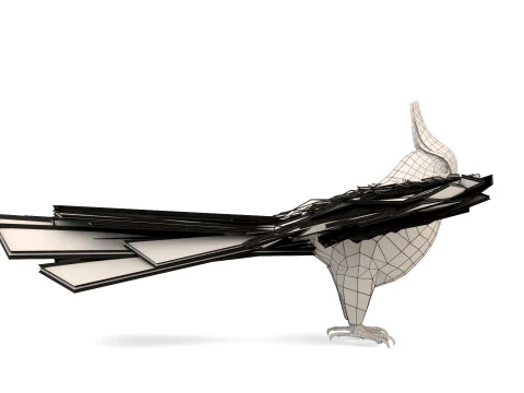 Cockatiel Parrot 3D Model