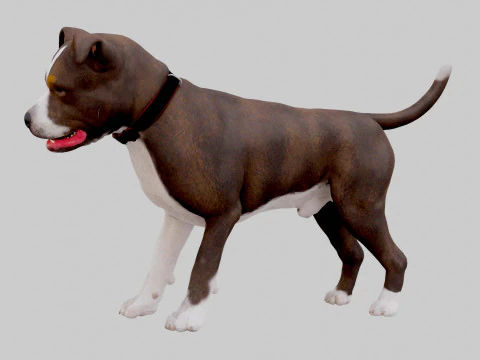 Bull Dog 3D Model