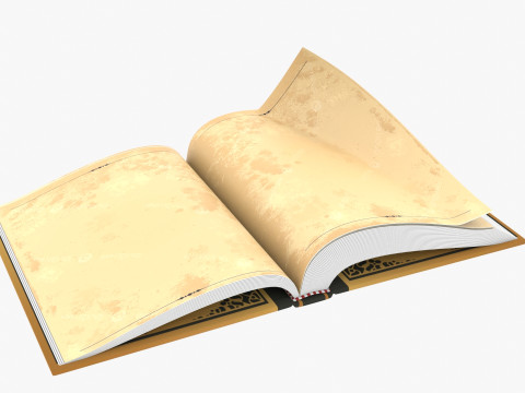 Fantasy Rigged Book 3D Model