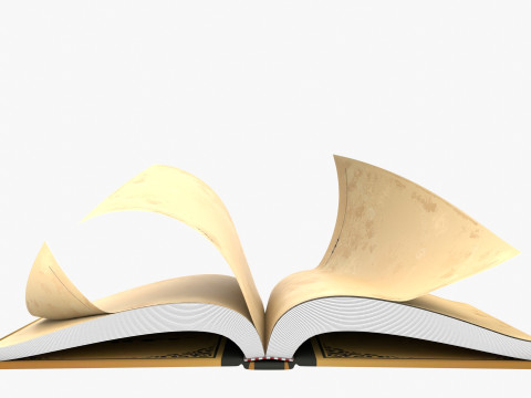 Fantasy Rigged Book 3D 模型