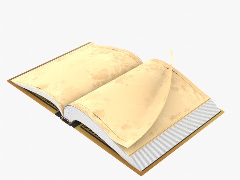 Fantasy Rigged Book 3D 模型