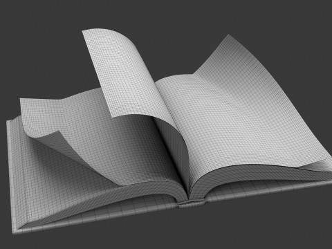 Fantasy Rigged Book 3D 模型