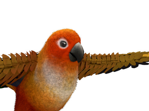 Flame Macaw 3D-Modell