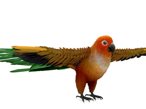Flame Macaw Modèle 3D