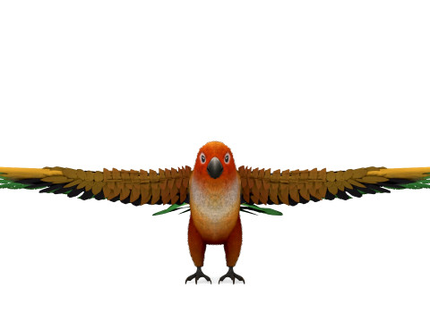 Flame Macaw Modèle 3D