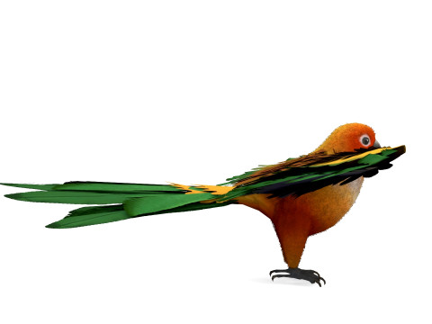 Flame Macaw Modèle 3D