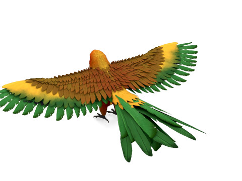 Flame Macaw Modèle 3D