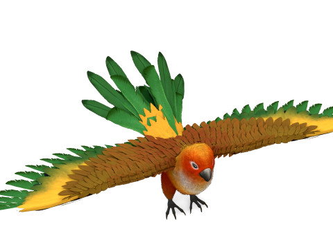 Flame Macaw Modèle 3D