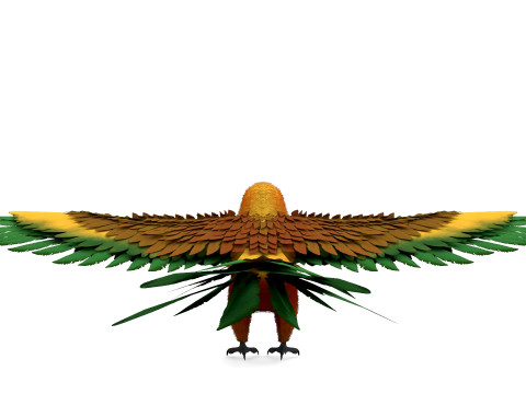 Flame Macaw Modèle 3D