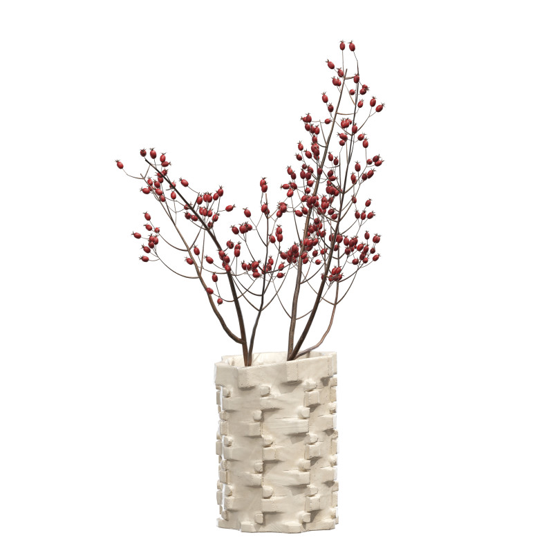 Ceramic Bolt Vase by Floris Wubben Rosehip Modèle 3D .c4d .max .obj .3ds .fbx .stl .blend