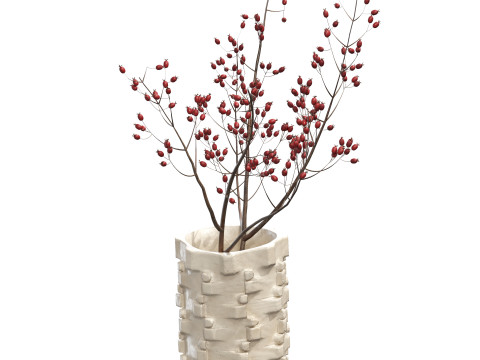 Ceramic Bolt Vase by Floris Wubben Rosehip Modèle 3D
