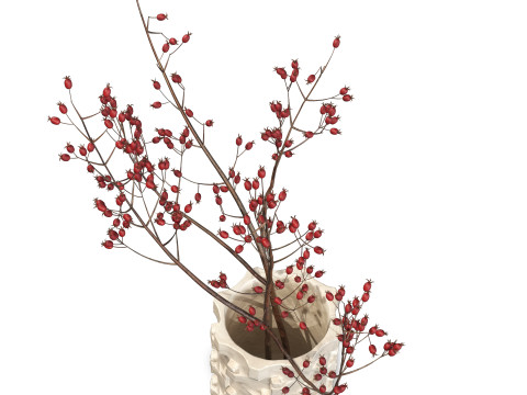 Ceramic Bolt Vase by Floris Wubben Rosehip Modèle 3D