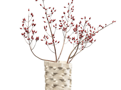 Ceramic Bolt Vase by Floris Wubben Rosehip Modèle 3D