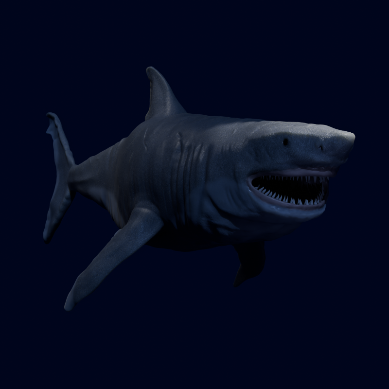 DarqShark 3D 模型 .c4d .max .obj .3ds .fbx .stl .blend