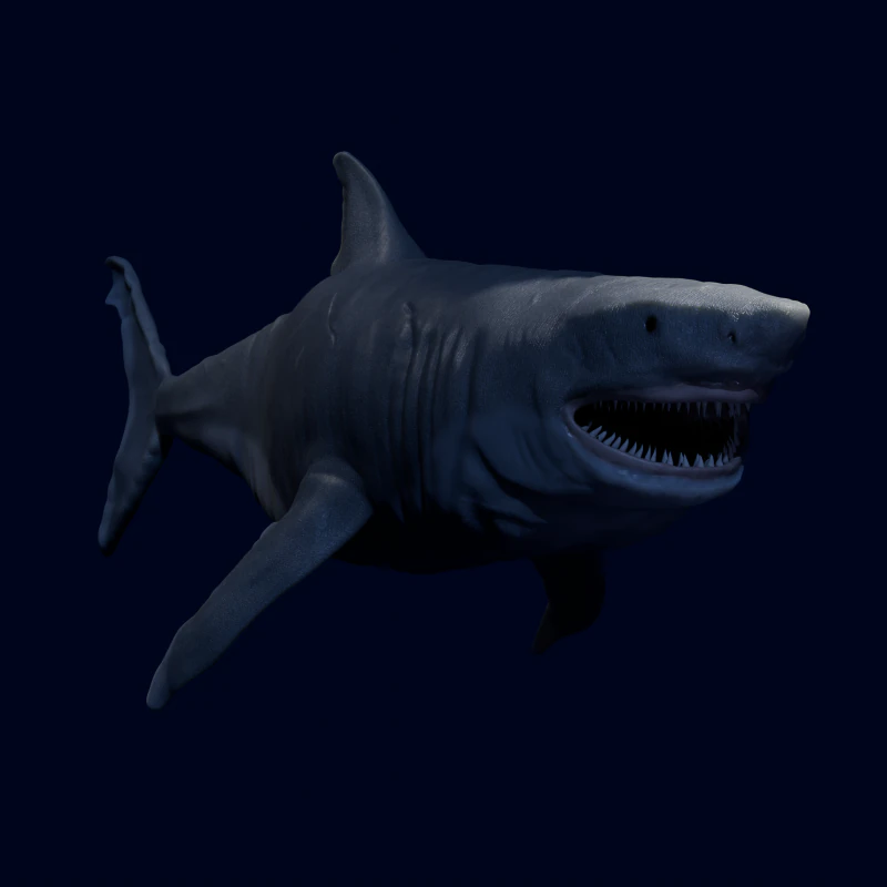 DarqShark Modello 3D .c4d .max .obj .3ds .fbx .stl .blend 