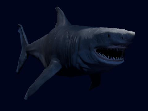 DarqShark 3D मॉडल