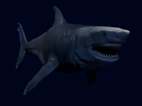DarqShark 3D Modell