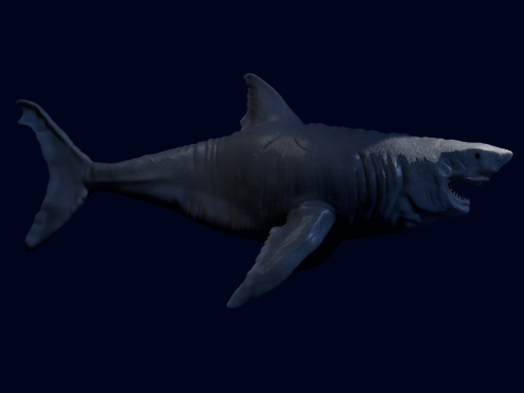 DarqShark 3D 模型