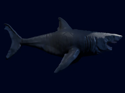 DarqShark Modello 3D