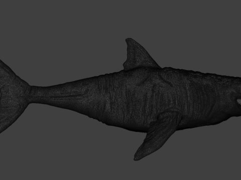 DarqShark 3D 模型