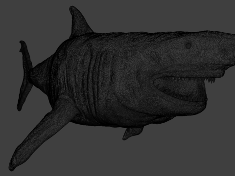 DarqShark 3D 模型