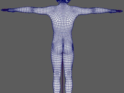 Shawn Mendes Character Modello 3D