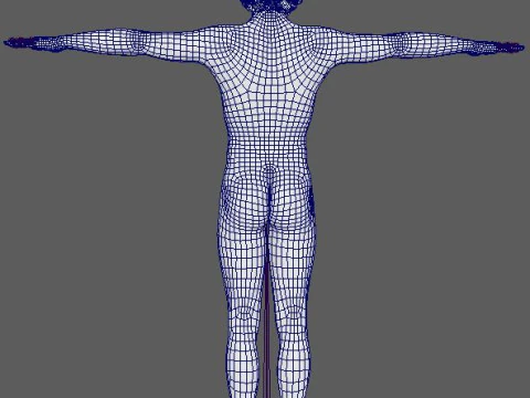 Shawn Mendes Character 3D Model