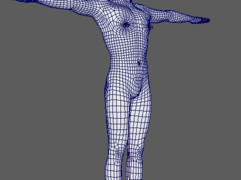 Somerhalder-Charakter 3D Modell