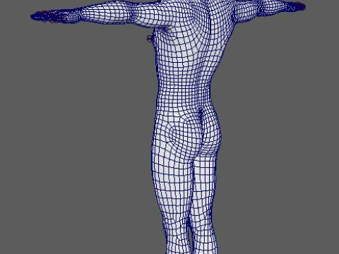 Somerhalder-Charakter 3D Modell