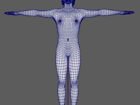 Somerhalder Character 3Dモデル